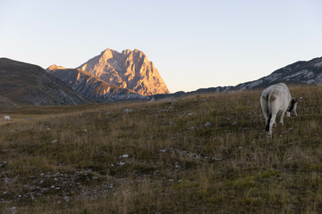 Fototapeta premium Gran Sasso at sunrise