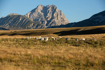 Gran Sasso at sunrise