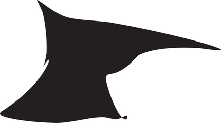 black and white shark illustration