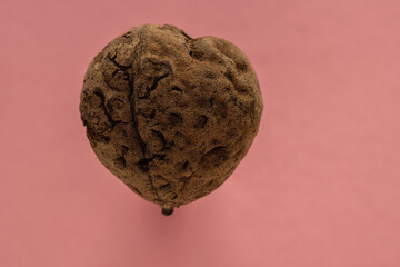 Detailed macro photo of walnut seed