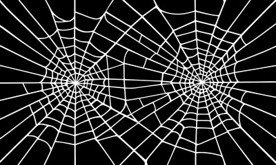 Black background with spider round white webs.