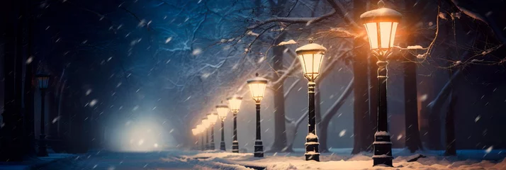 Foto op Aluminium lamppost illuminating a snowy path through a peaceful park, with snowflakes gently falling all around. © Maximusdn