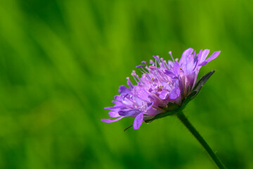 beauty of nature Aizkraukle Latvia autumn 2023