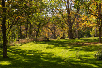 Fototapeta premium Day use picnic area with bbq grills and tables with benches in a state park. Warm and sunny fall day.