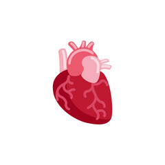 🫀 Anatomical Heart