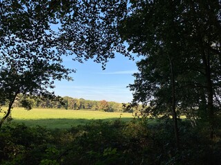 Hiking on Schwanheim Meadow in the city forest of Frankfurt