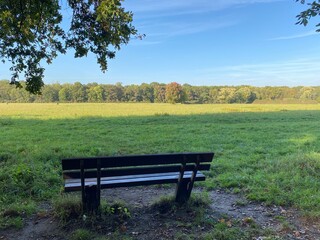 Bench on the edge of the forest with a view of the Schwanheimer Wiese in Frankfurt
