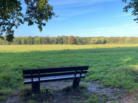 Bench on the edge of the forest with a view of the Schwanheimer Wiese in Frankfurt