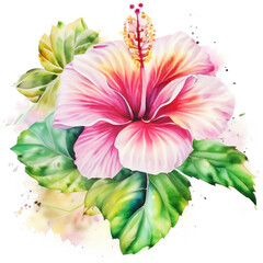 Namalowany hibiskus ilustracja