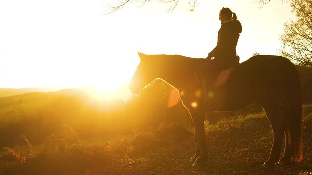 SILHOUETTE, LENS FLARE: Smiling horse rider admires sunrise over hilly landscape. A cloud of warm breath from her horse can be seen in the chilly autumn morning as they stopped at a vantage point.
