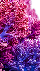 colorful high detailed macro image of sea corals, vivid multicolor textured wallpaper background of sea life corals reef