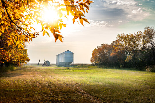 Autumn scene on a farmyard with grain silos and farm equipment during fall harvest on a prairies landscape in Kneehill County Alberta Canada.