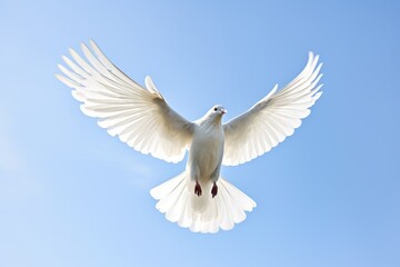 a white peace dove flying against a clear sky