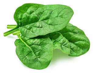 Fresh green leaves of Spinach leafy vegetable isolated on white background. Spinach Macro. Top...