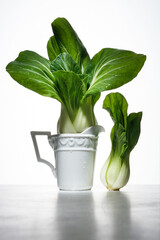 Still life with natural fresh bok choy cabbage in a pot and white background. Variety of root vegetables. Healthy food. Spotlight. Art food photography. Shallow depth of field.