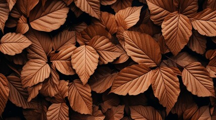 Brown plant leaves in autumn season, brown background