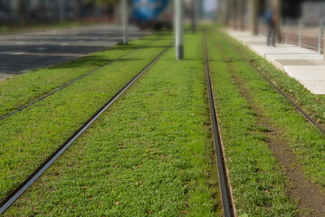 Green tram tracks in the city. Ecological environment. The vegetation between the rails