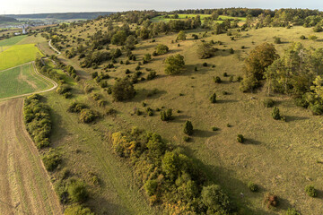 Gungolding Wacholderheide