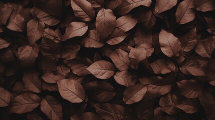 Brown plant leaves in autumn season, brown background - obrazy, fototapety, plakaty