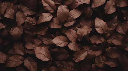 Foto op Plexiglas Brown plant leaves in autumn season, brown background © sunanta