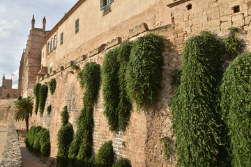 Palma de Mallorca © JS