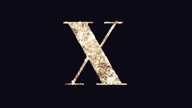 This video features an English alphabet letter "X"  as a logo, with golden and white particles emanating from it, creating a rich and exciting effect. You can combine it with your favorite videos.