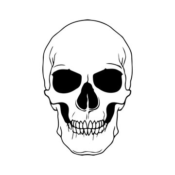 White Skull Svg file, Skeleton face Svg, Gothic skull, Black and white skull head, Instant download, Skull vector cut files, Svg Files for Cricut