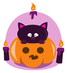 halloween cat sitting inside pumpkin