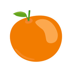 Ilustración vectorial de una naranja. Diseño de una naranja y en porciones.