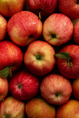 Apples of red-yellow color close-up
