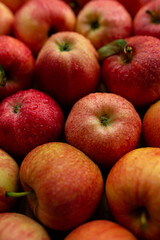 Fototapeta na wymiar Apples of red-yellow color close-up