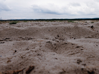 sand castle on the beach