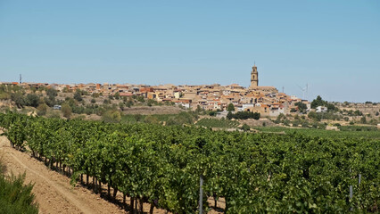 Fototapeta na wymiar Vista de pueblo en entorno rural con viñedos 
