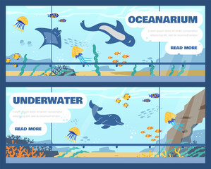 Oceanarium, marine flora and fauna, underwater and sea animals fish variety, vector design for landing page and flyers