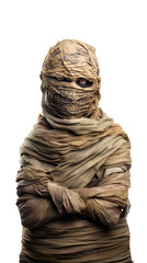 Studio shot portrait of scary mummy pose. halloween cosplay like a clamber acting. Isolated on Transparent background. - obrazy, fototapety, plakaty