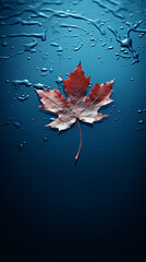 Autumn maple leaf on water surface with ripples. Copy space.