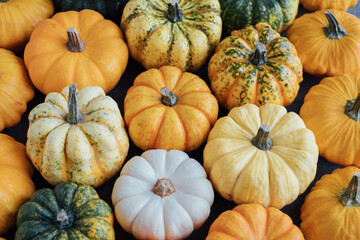 Many colorful mini pumpkins and gourds, view from above. Fall texture for background. Halloween or Thanksgiving celebration.