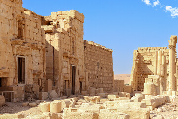 Ruins of the city of Palmyra in Syria