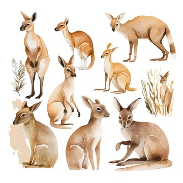 kangaroo vector art icons for a sustainable brand minimalist watercolor neutral colours soft white background 