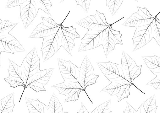 hand drawn detailed leaf background
