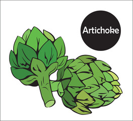 Two whole edible artichoke buds. Organic pure food, vegetables. herbaceous useful plant.Vector illustration isolated