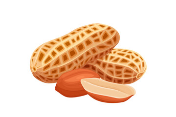 variety of peanuts Raw shelled peanuts of different shapes stand vertically isolated on white background.