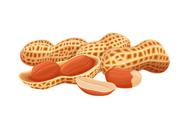 variety of peanuts Raw shelled peanuts of different shapes stand vertically isolated on white background.