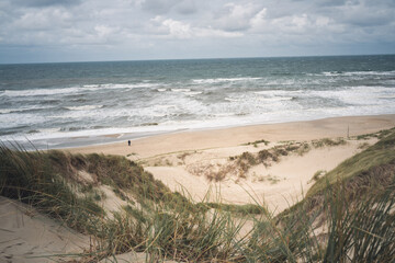 Dünenlandschaft mit Meerblick in Holland
