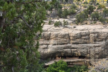 View at Mesa Verde National Park in Colorado