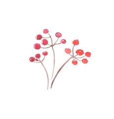 Watercolor rowan branch, autumn branch with red berries, isolated on a white background