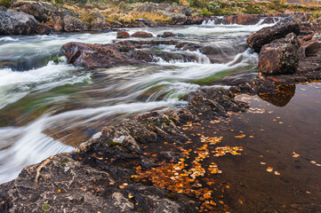Rapid river flows over rocks through autumnal Norwegian landscape.