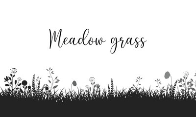Meadow grass. Silhouette on a white background.