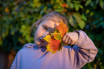 Happy girl holds collected maple leaves in her hands Girl playing with fallen leaves in autumn park. Fall season