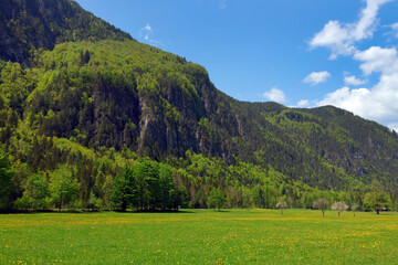 Alpine landscape on Logar valley (Logarska dolina), Kamnik Savinja Alps, Slovenia, Europe  © Rechitan Sorin
